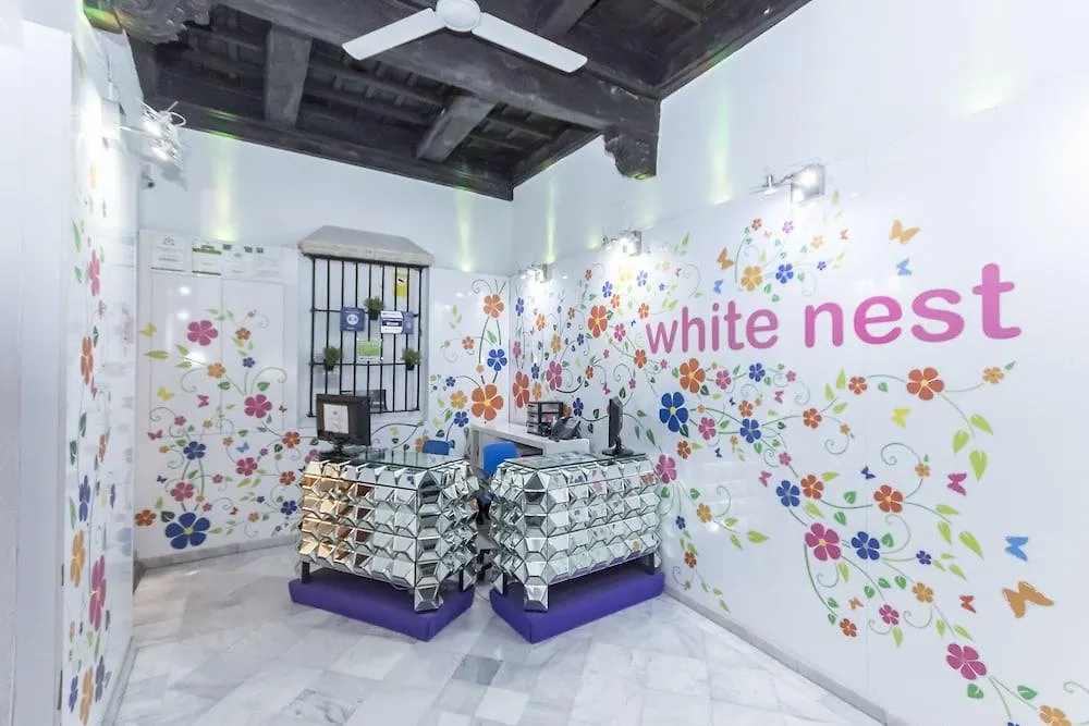 White Nest Hostel Granada