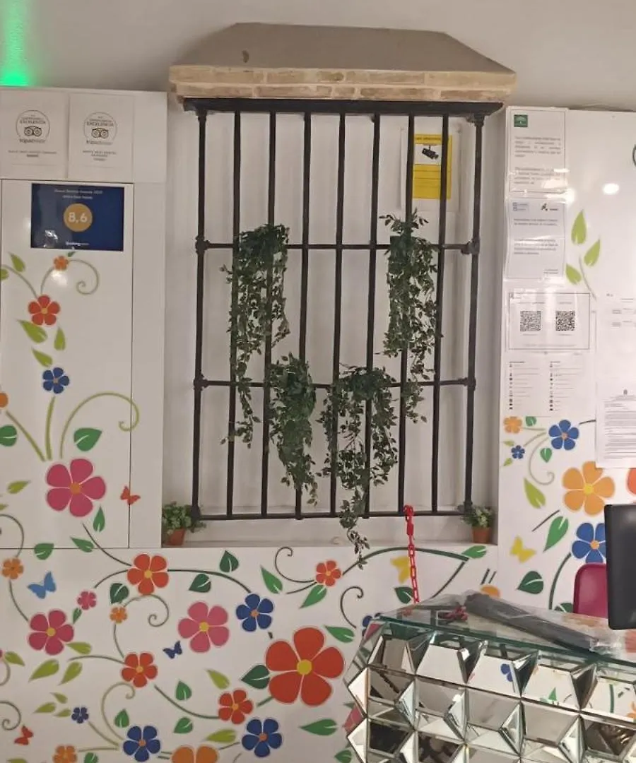 White Nest Hostel Granada Spain